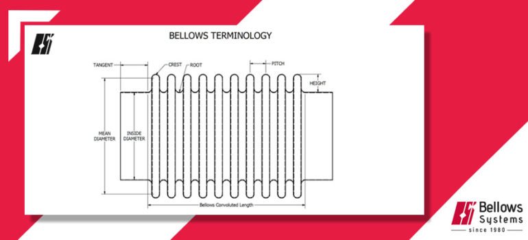 bellows terminology diagram